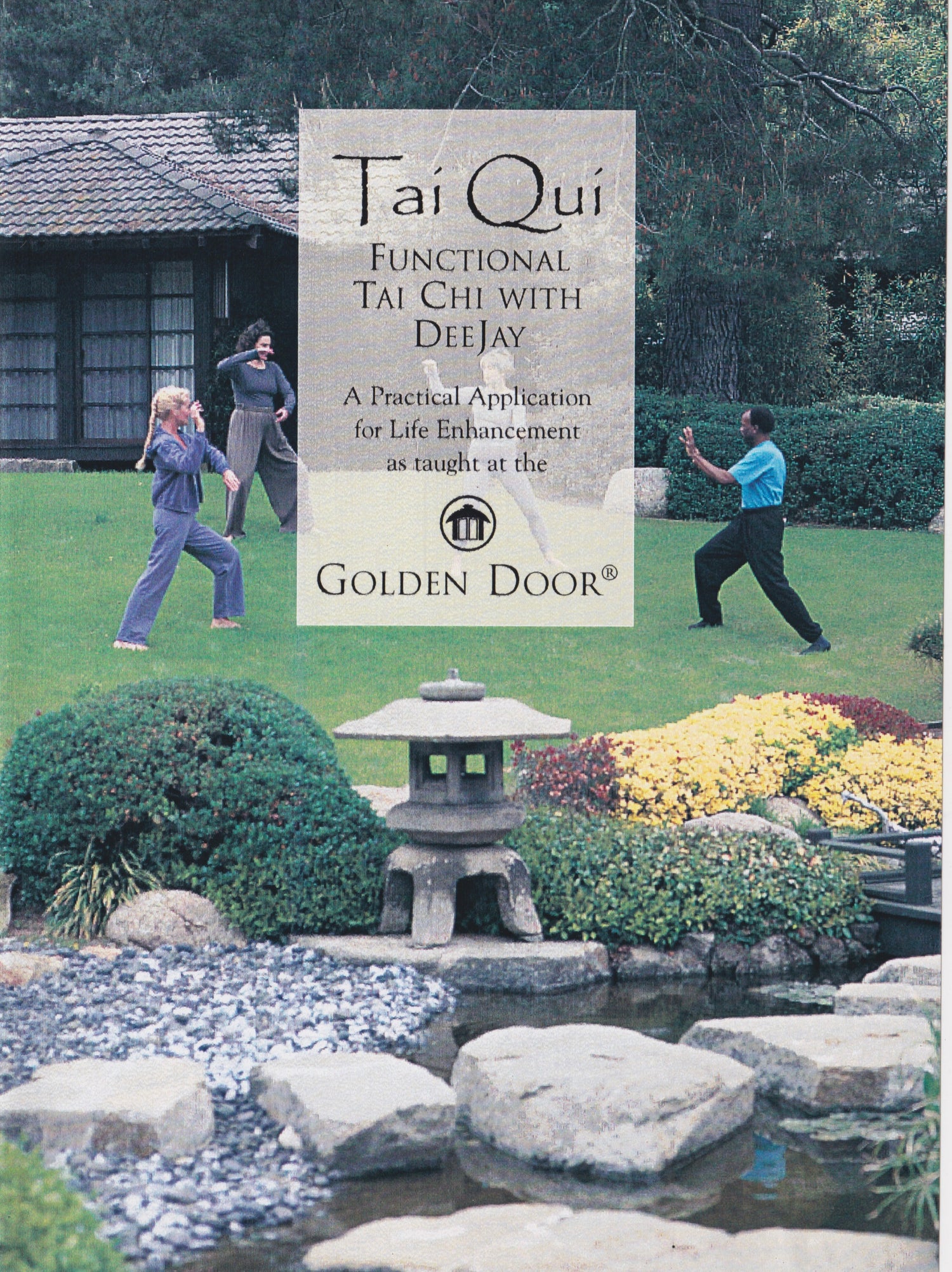 Tai Qui Functional Tai Chi DVD with DeeJay (Preowned)