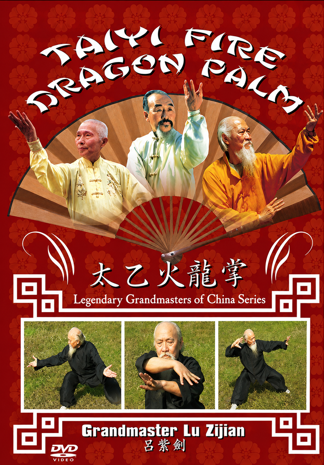 Taiyi Fire Dragon Fist DVD by Lu Zijian