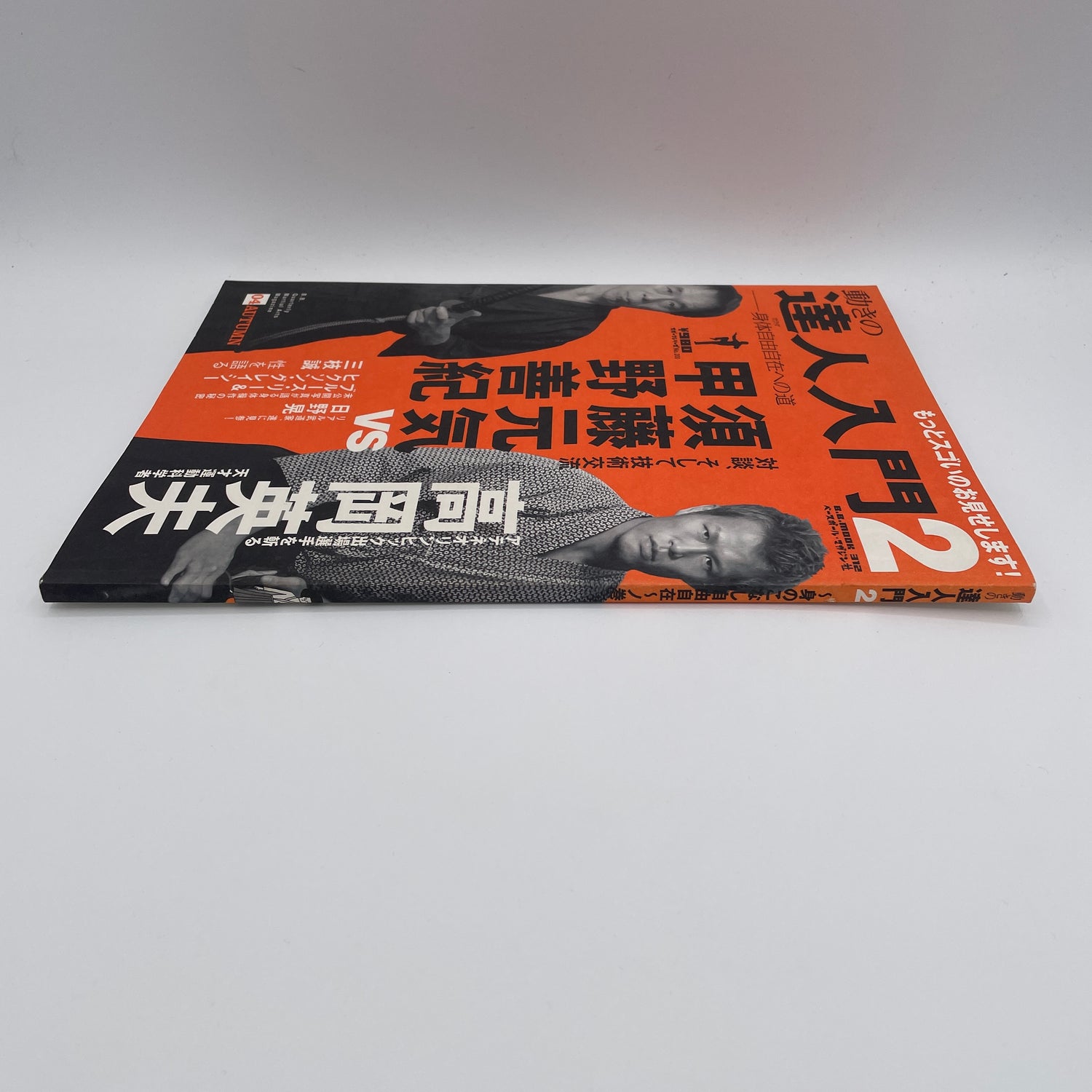 Revista Tatsujin Nyumon 2 (Usada)
