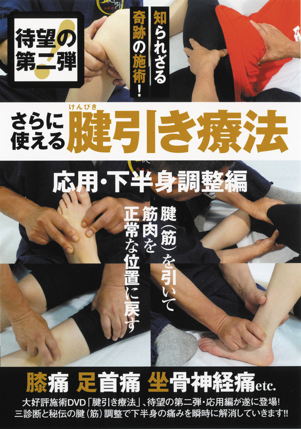 Tendon Pulling Therapy: Application and Lower Body Adjustment DVD by Akinobu Oguchi