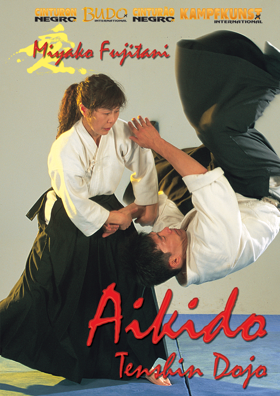 Tenshin Dojo Aikido Vol 2 DVD with Miyako Fujitani