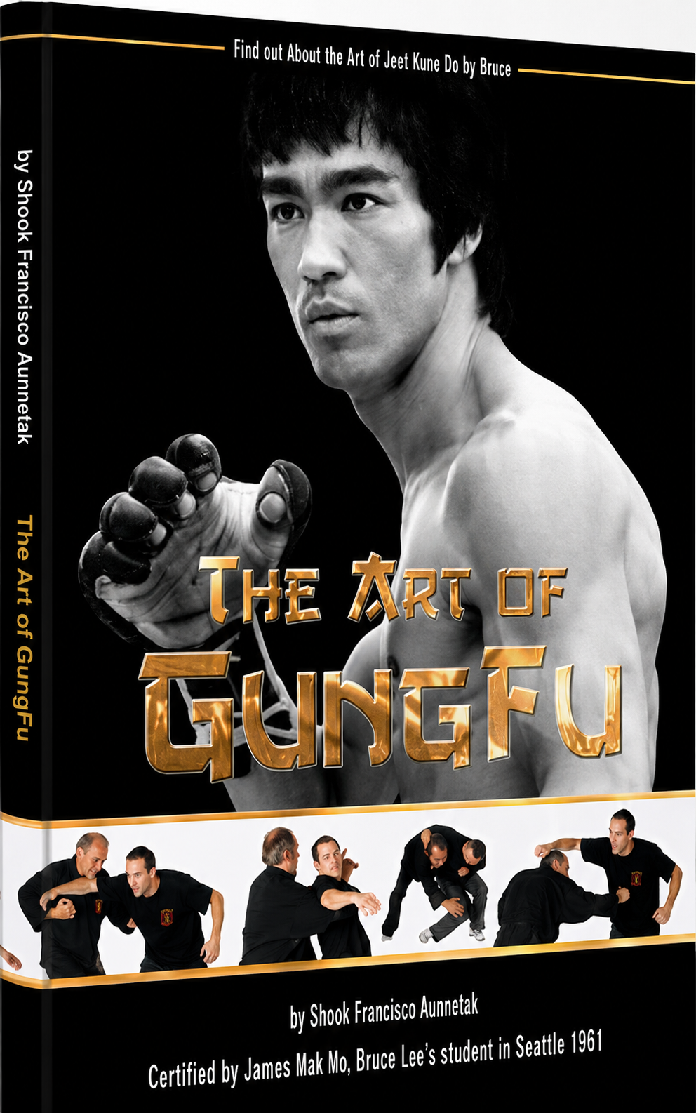The Art of Gung Fu Book by Francois Arambel