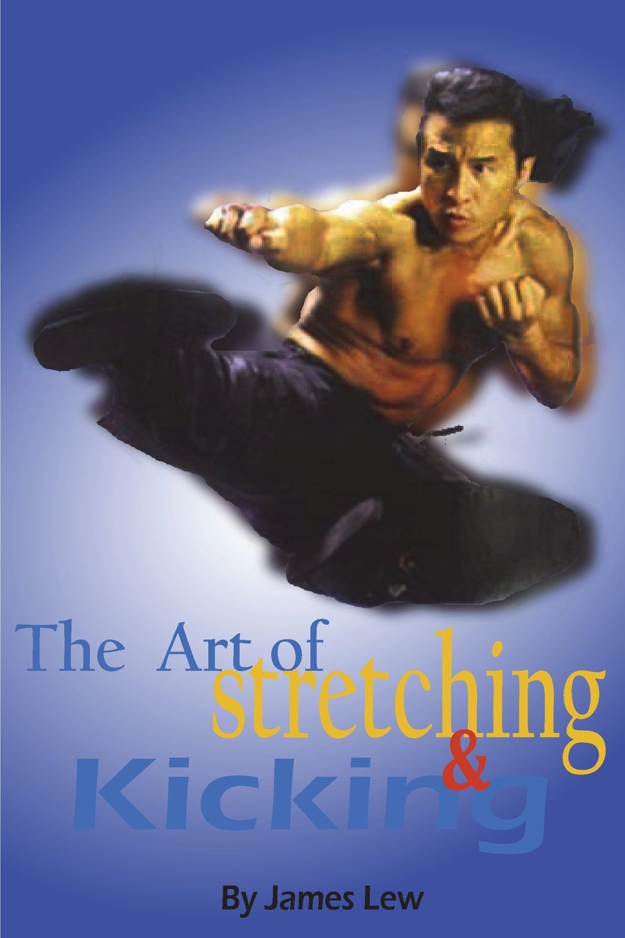 The Art of Stretching and Kicking Book by James Lew