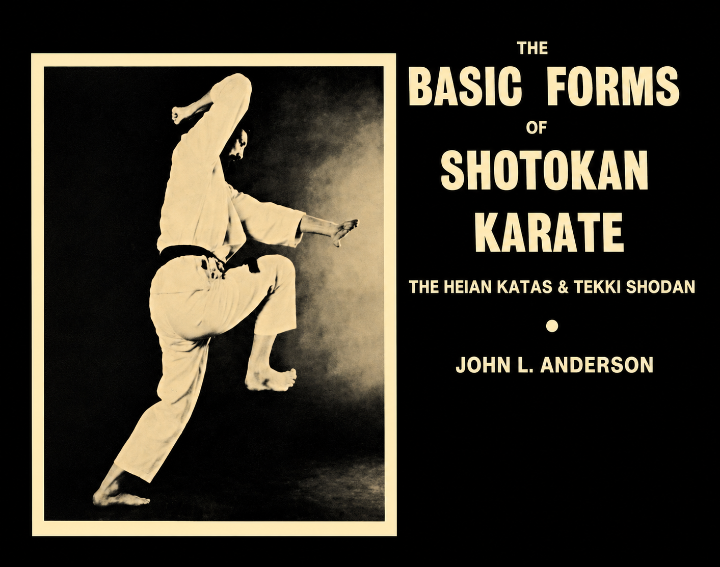 The Basic Forms of Shotokan Karate The Heian Katas and Tekki Shodan Book by John Anderson (Preowned)