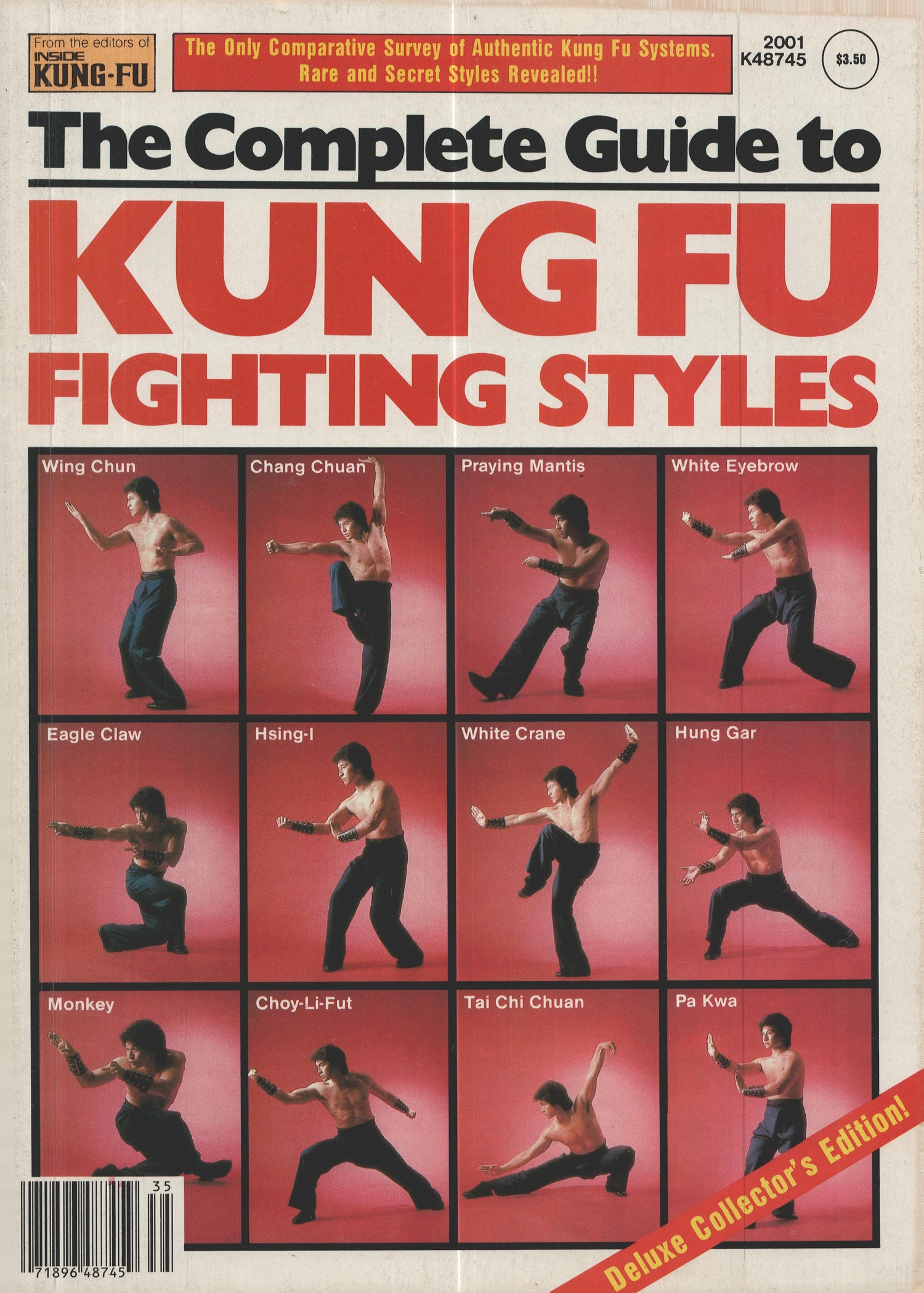The Complete Guide to Kung Fu Fighting Styles Magazine by Jane Jalalnder (E-Book)