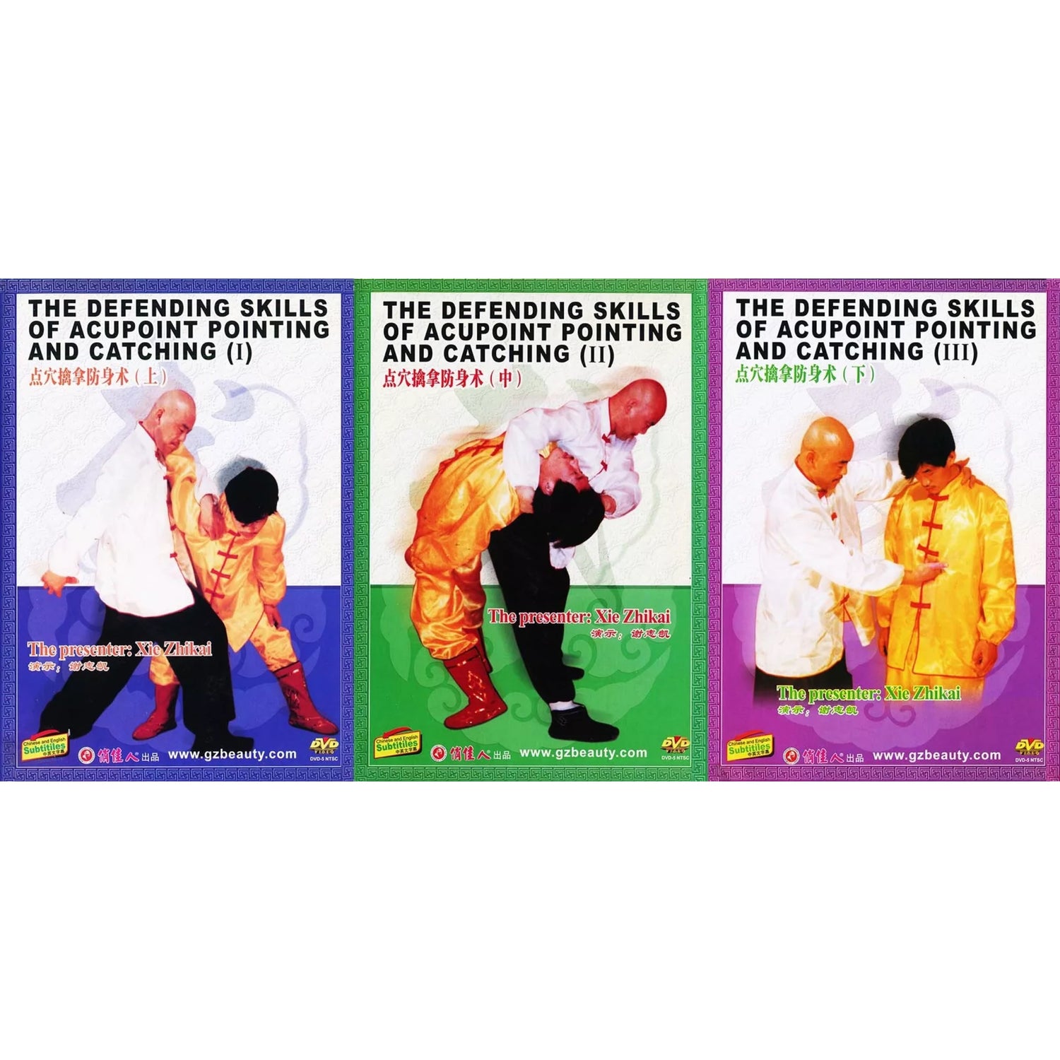 The Defending Skills Of Acupoint Pointing And Catching 3 DVD Set by Xie Zhika