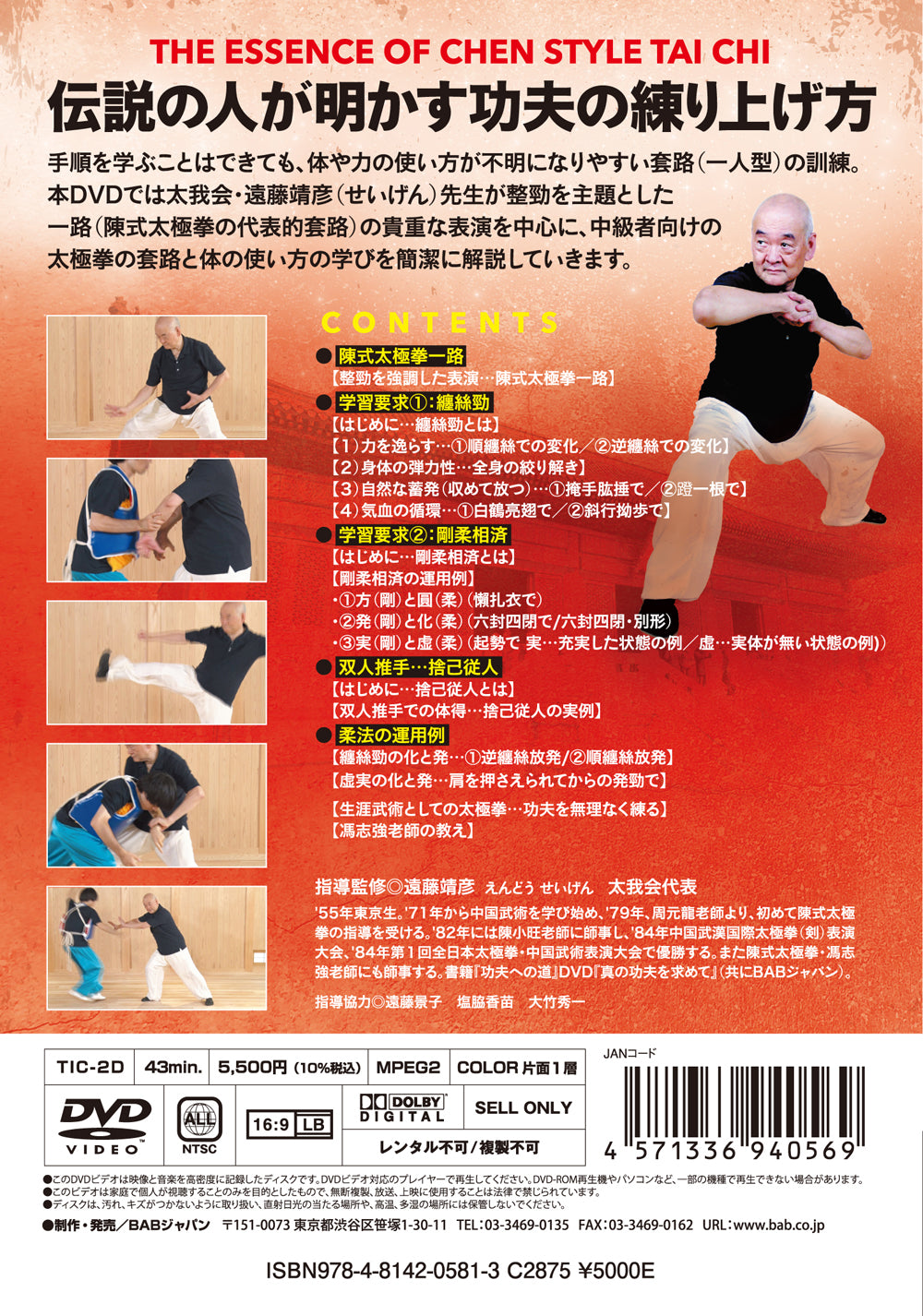 The Essence of Chen Tai Chi DVD by Seigen Endo