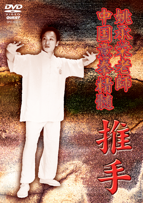 The Essence of Yiquan DVD 1 by Yao Chengyong (Region 2 DVD)