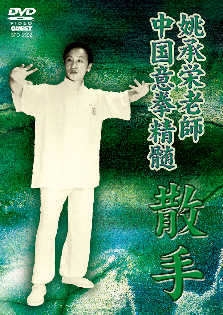 The Essence of Yiquan DVD 2 by Yao Chengyong (Region 2 DVD)