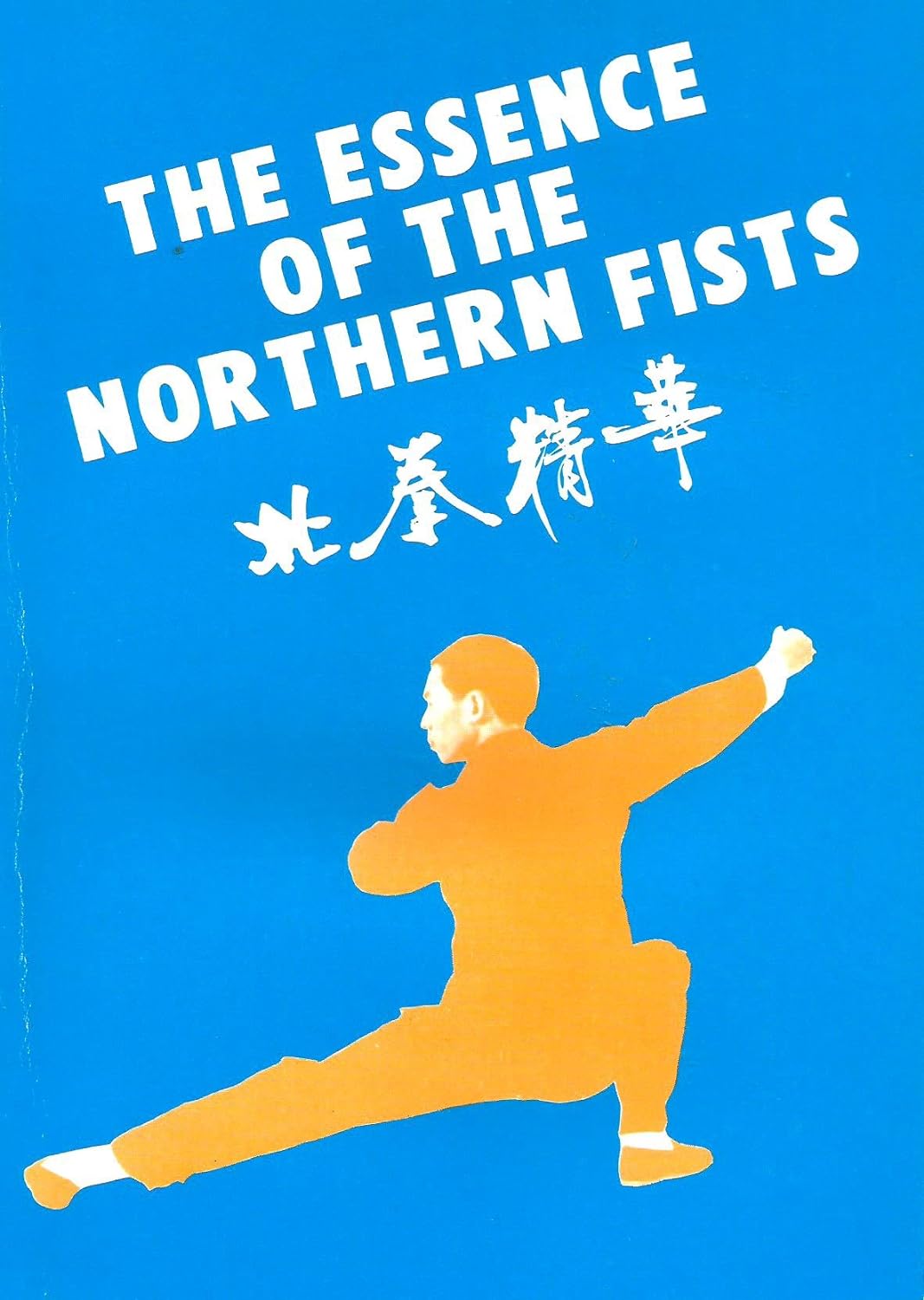 The Essence of the Northern Fists Book by Douglas Hsieh