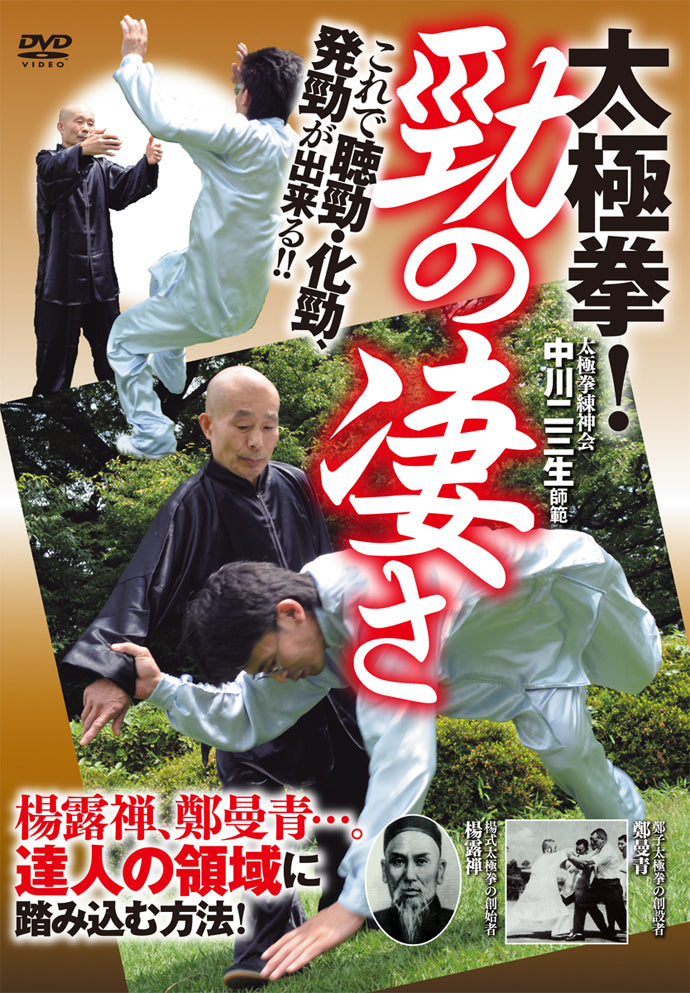 The Internal Power of Tai Chi DVD by Fumio Nakagawa