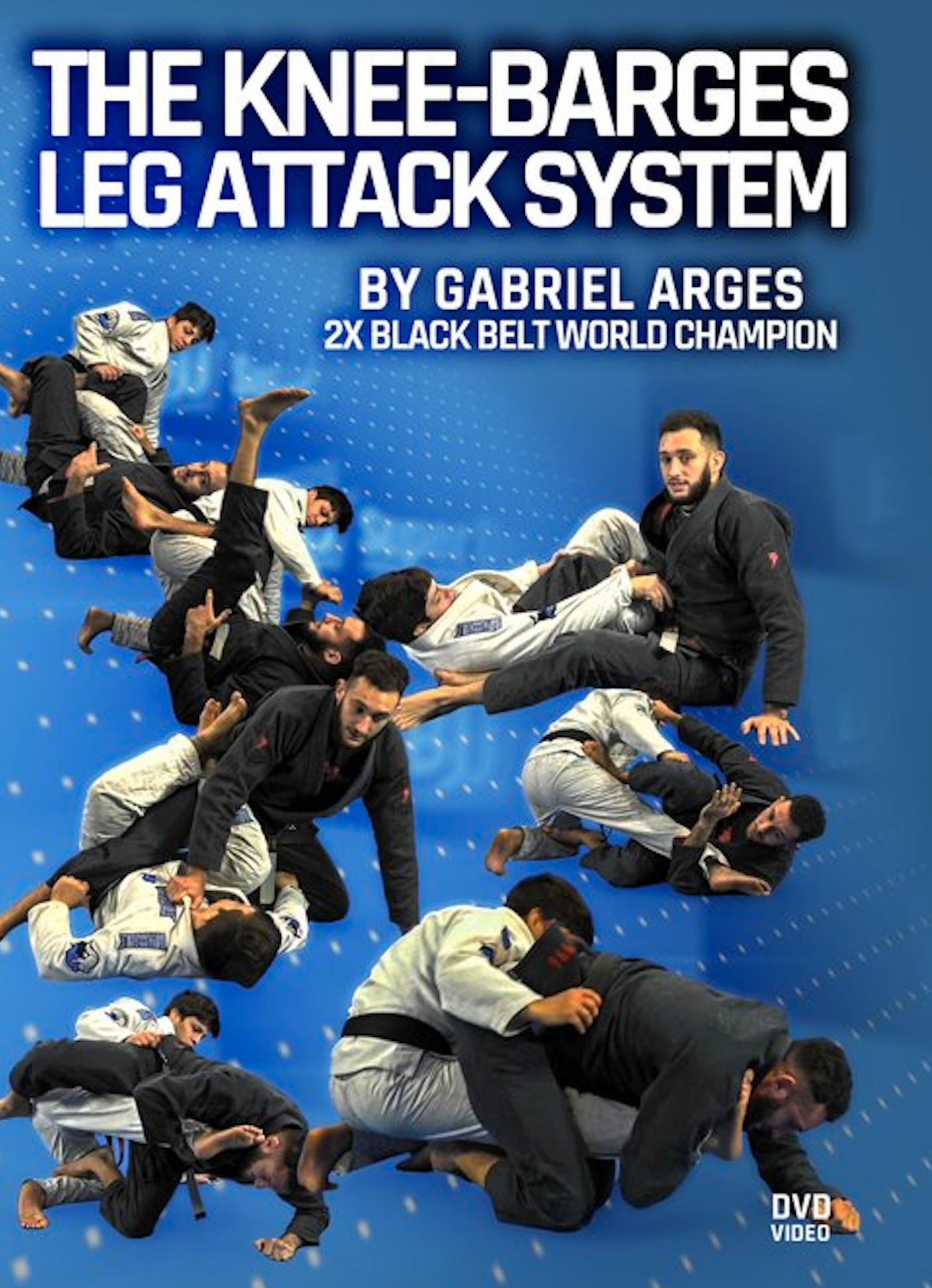 The Knee Barges Leg Attack System DVD by Gabriel Arges