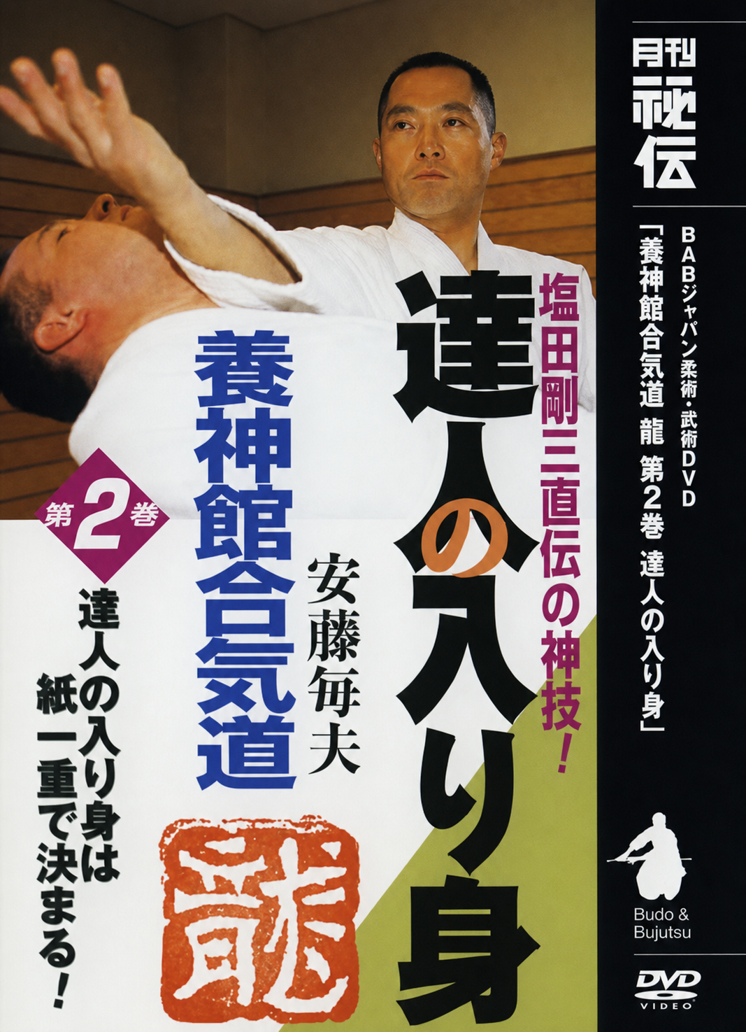 The Master's Irimi DVD by Tsuneo Ando