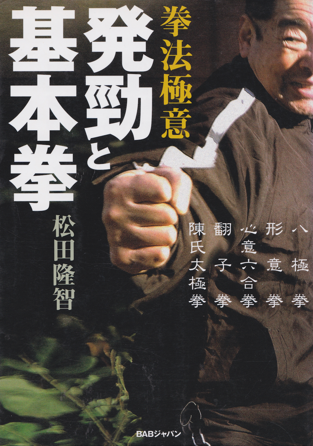 The Secrets of Martial Arts: Fa Jin (Explosive Power) & Basic Punches Book by Ryuchi Matsuda (Preowned)