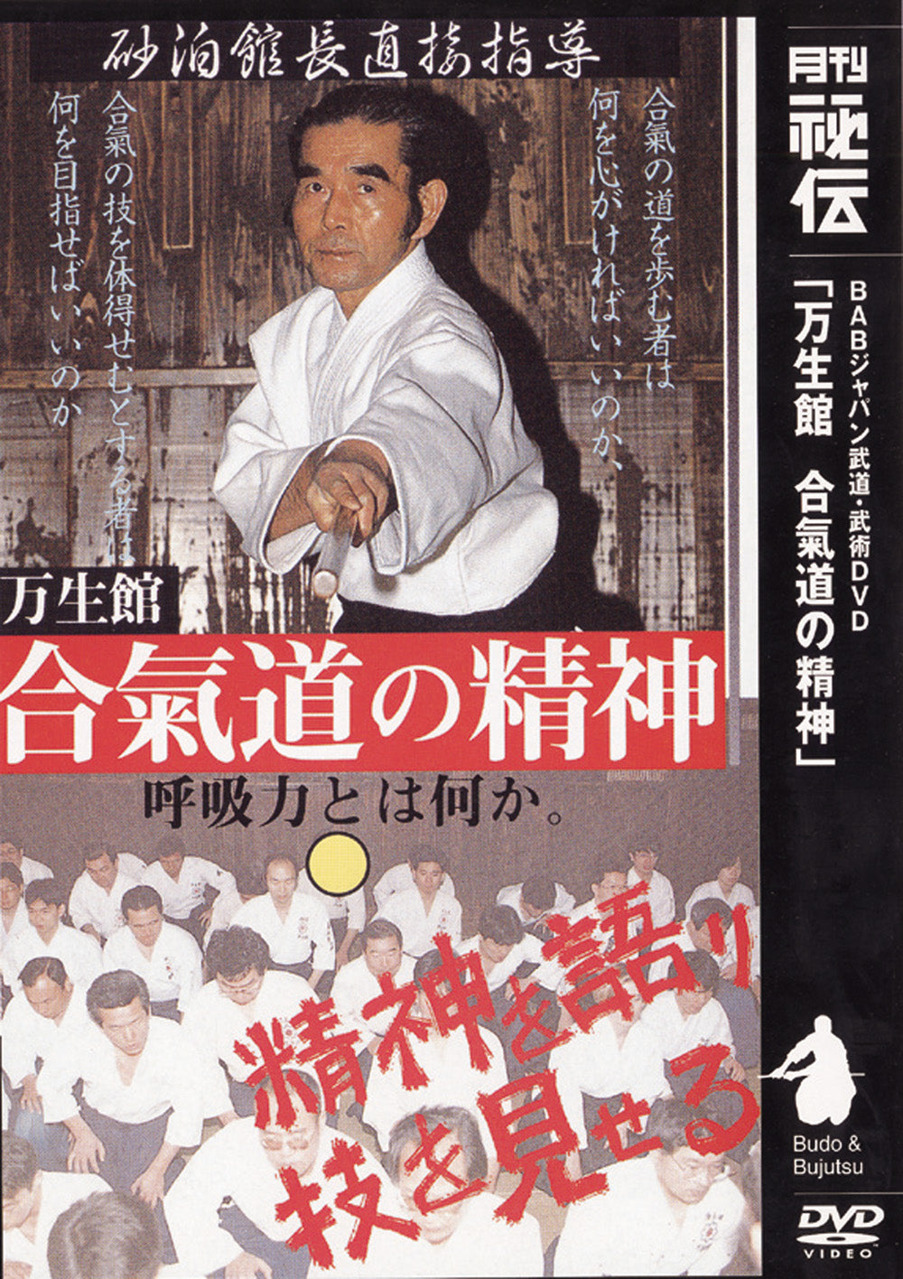The Spirit of Aikido DVD by Kanshu Sunadomari