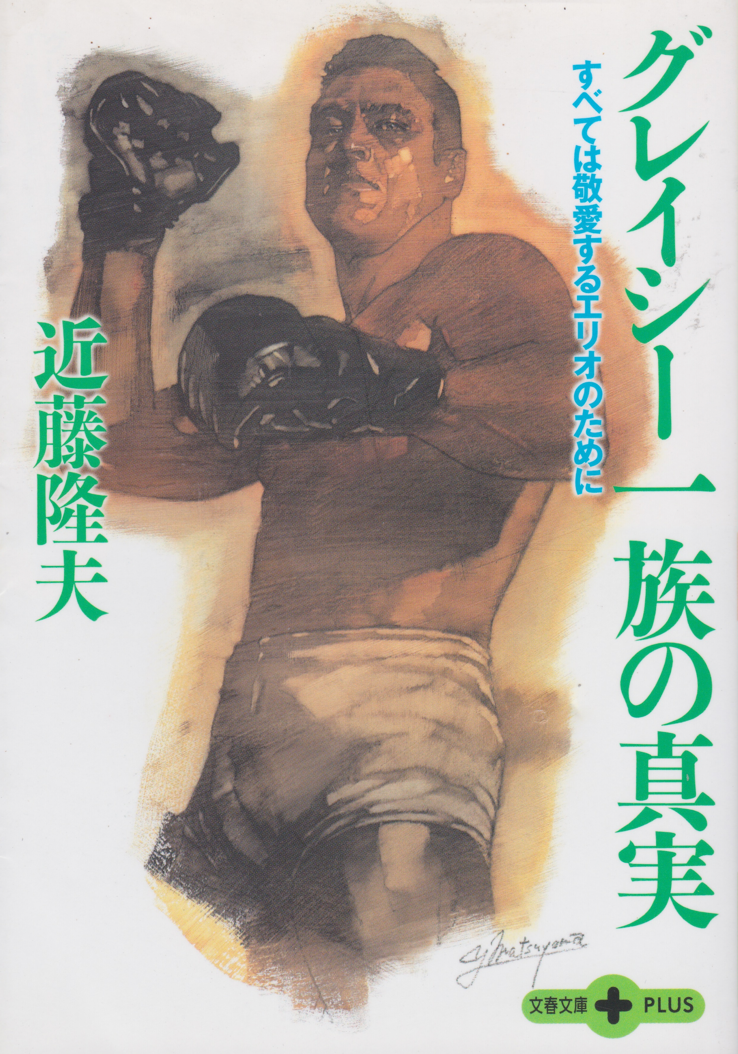 The Truth About the Gracie Family: All for the Beloved Helio Book by Takao Kondo (Preowned)