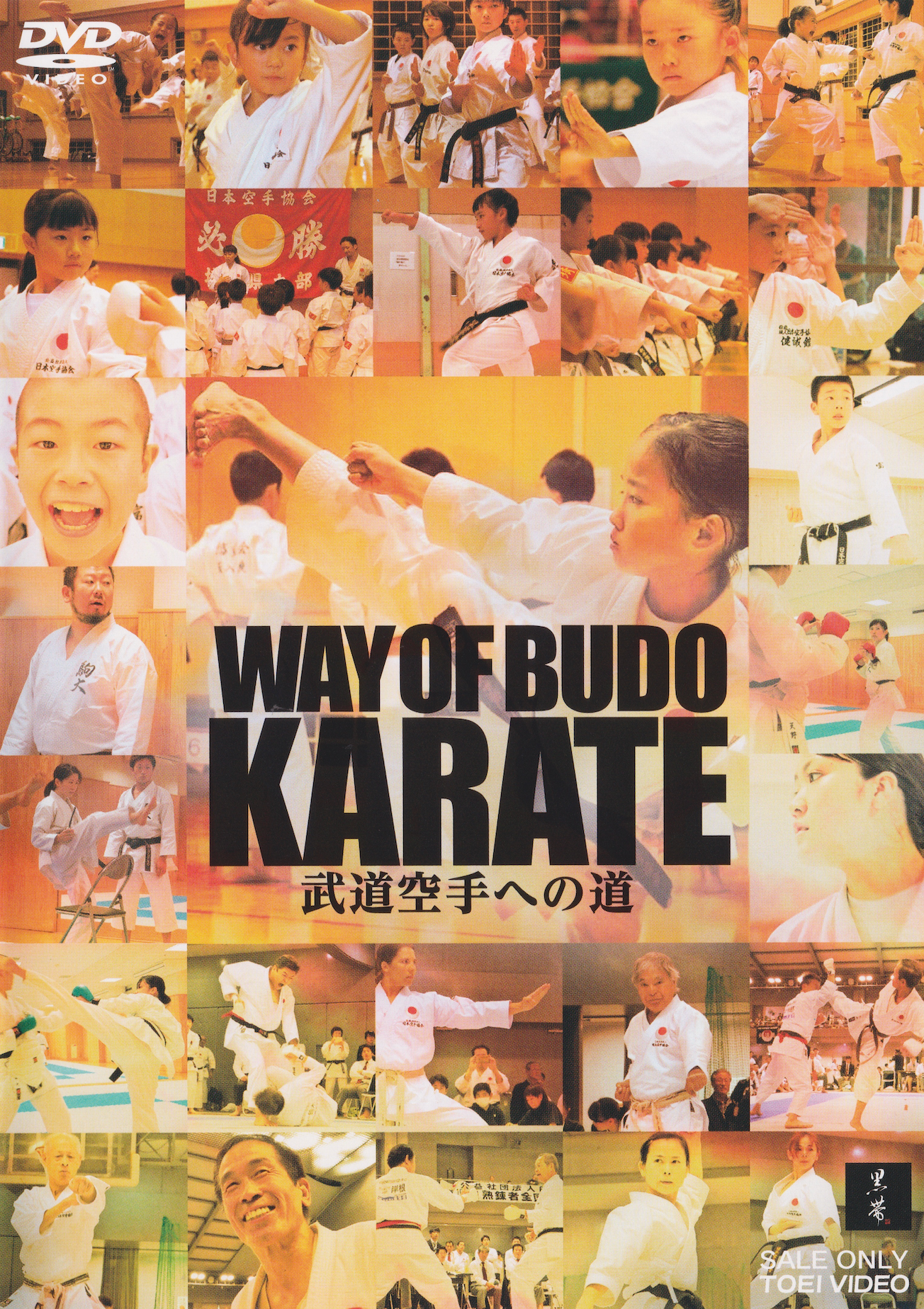 The Way of Budo Karate DVD (Preowned)