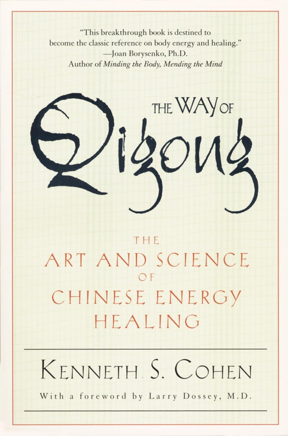 Libro de curación energética china The Way of Qigong de Kenneth Cohen (usado)