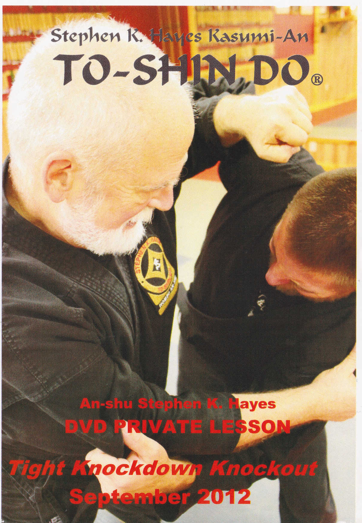 To-Shin Do Tight Knockdown Knockout DVD with Stephen Hayes (Preowned)