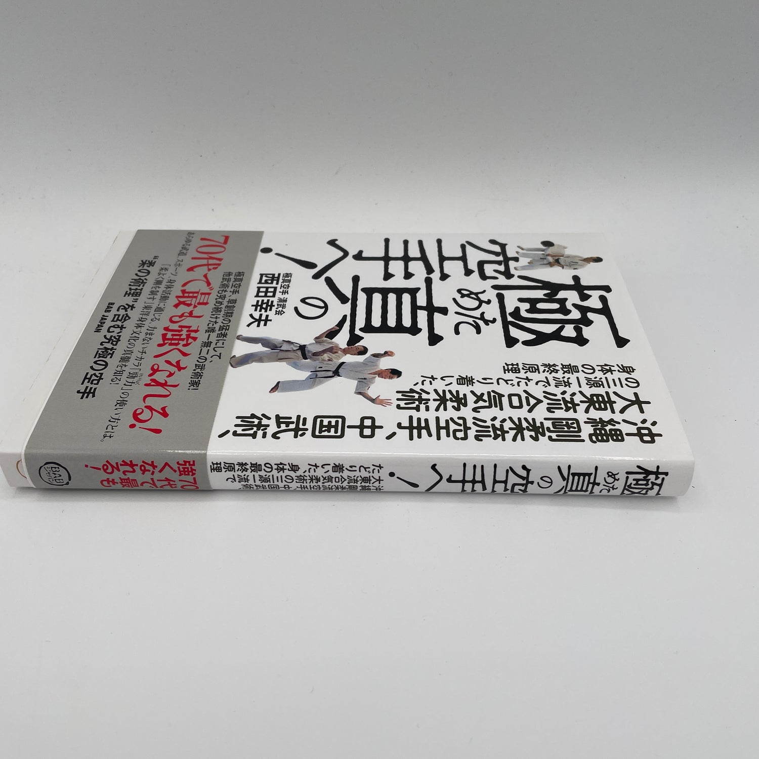 Ultimate True Karate: Final Body Principle from Goju Ryu, Chinese Martial Arts & Daito Ryu Aikijujutsu Book by Yukio Nishida