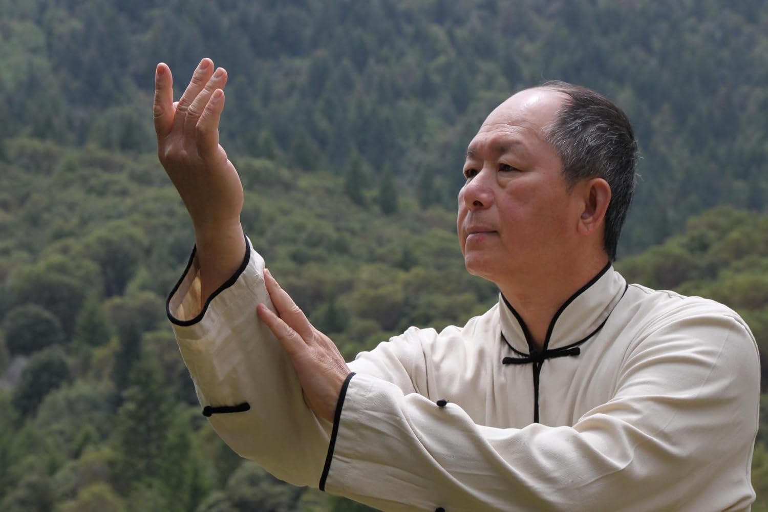 Understanding Qigong Exercises Complete 6 DVD Set by Dr Yang, Jwing Ming