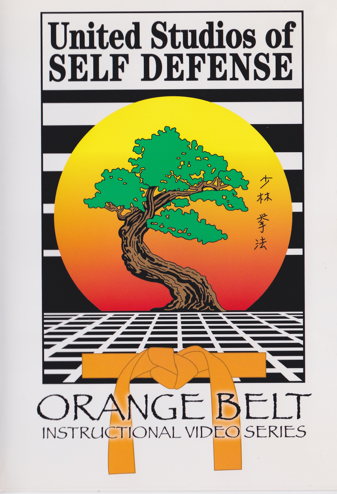 United Studios of Self Defense Orange Belt DVD by Charles Mattera (Preowned)
