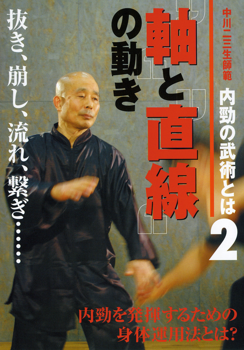 What is Internal Martial Arts DVD 2: Unleashing Internal Power by Fumio Nakagawa