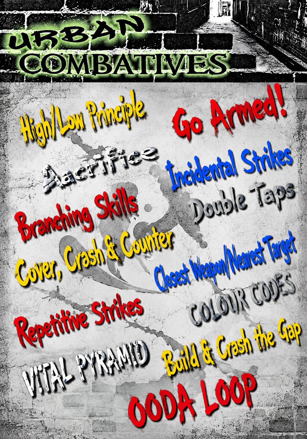 Urban Combatives Combative Principles 2 DVD Set by Lee Morrison (Preowned) (PAL)