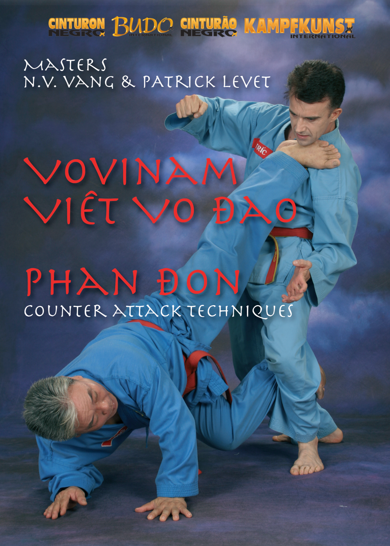 Viet Vo Dao Phan Don Counter Techniques DVD with Patrick Levet