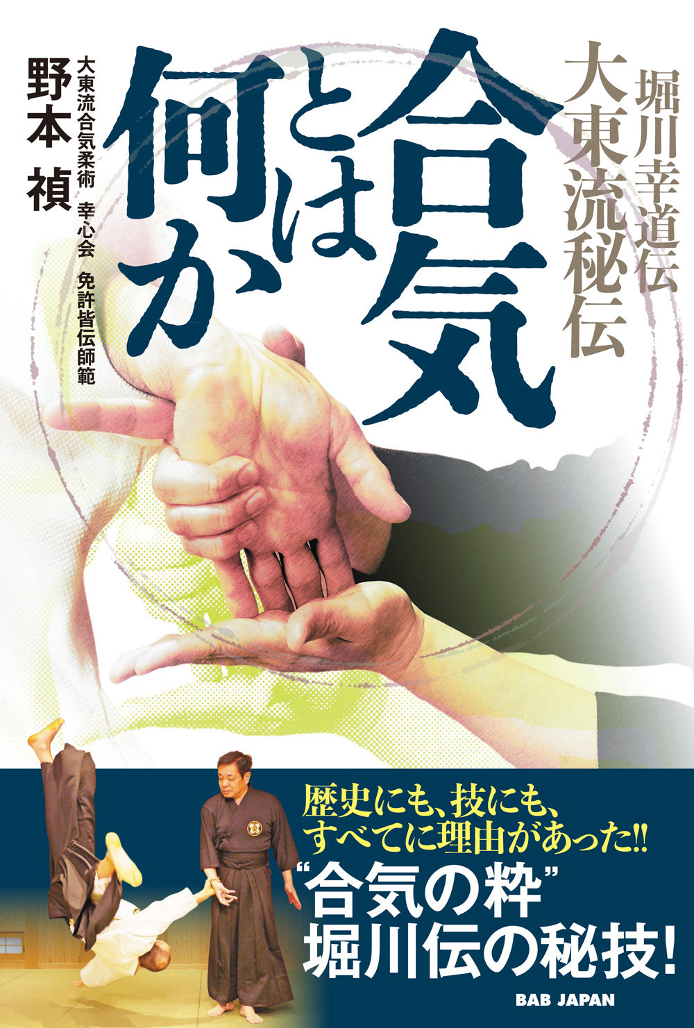 What is Aiki Book by Tadashi Nomoto