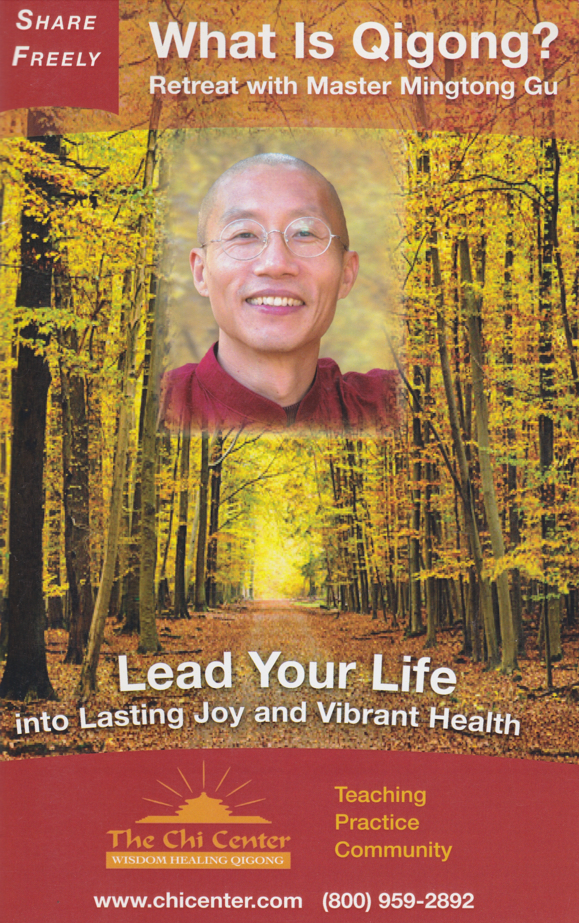 What is Qigong? Retreat with Mingtong Gu Book & DVD