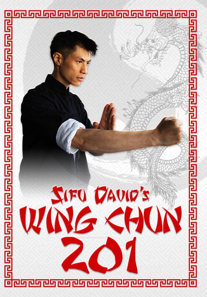 Wing Chun 201 DVD by Sifu David