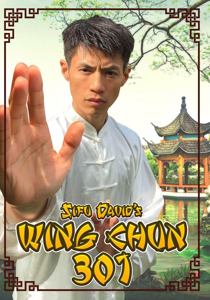 Wing Chun 301 DVD by Sifu David