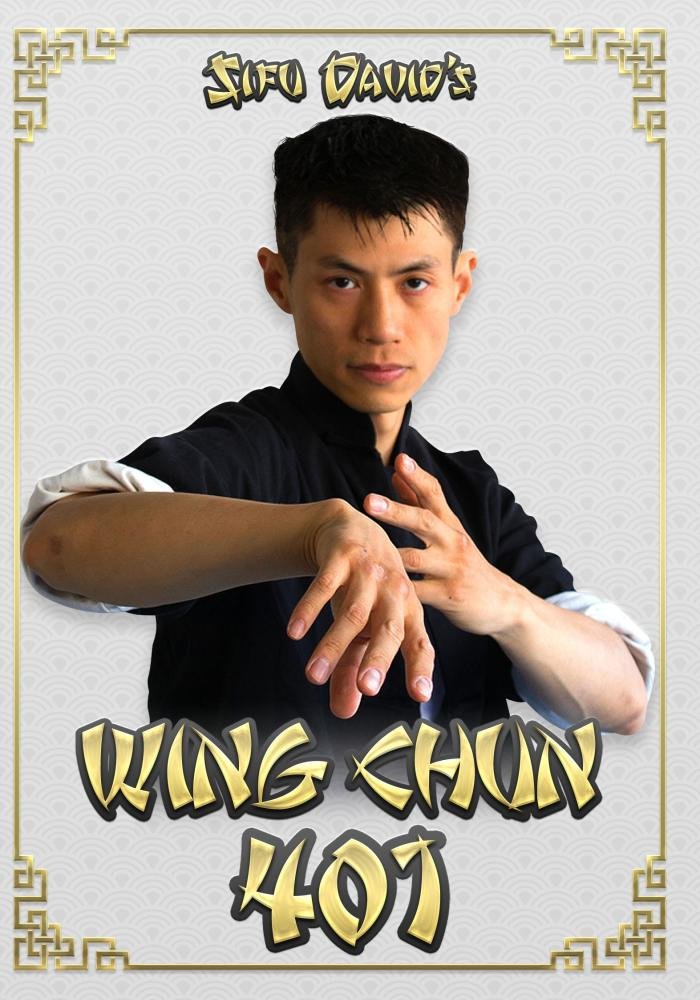 Wing Chun 401 DVD by Sifu David