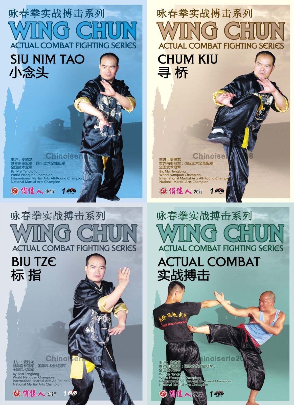 Wing Chun Actual Combat Fighting 4 DVD Set by Mai Tenglong