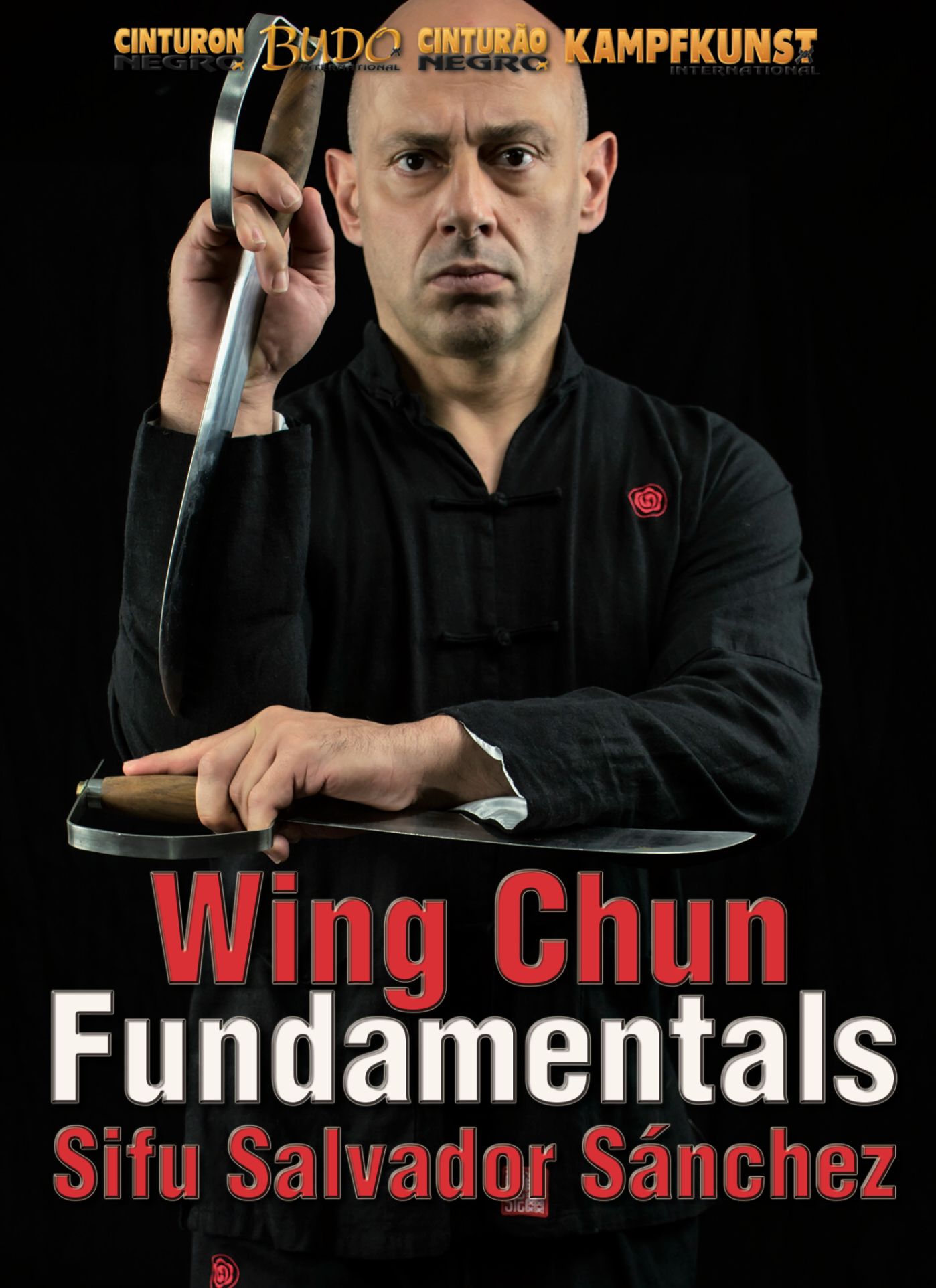 Wing Chun Fundamentals TAOWS Academy DVD with Salvador Sanchez