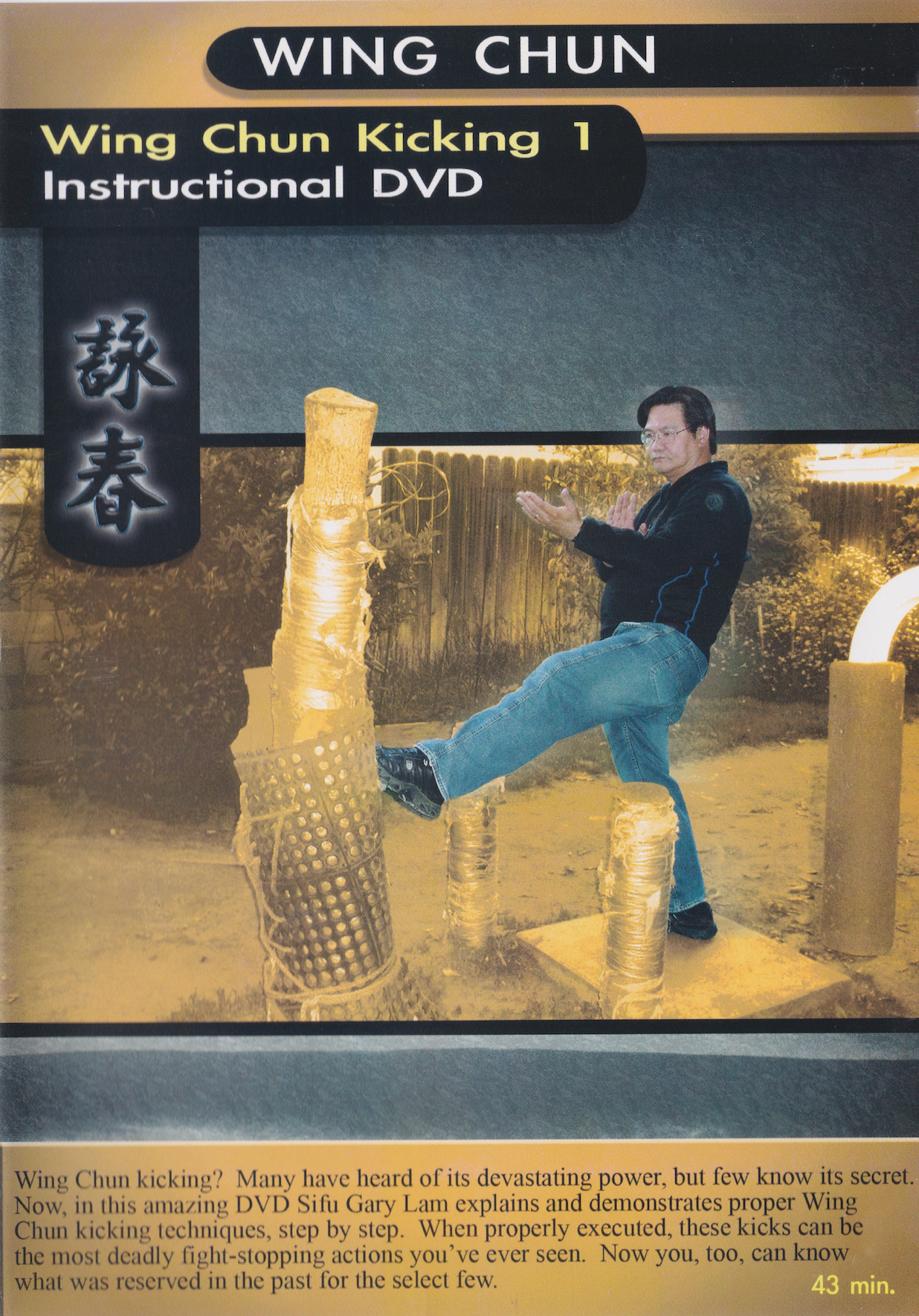Wing Chun Kicking 1 DVD by Gary Lam