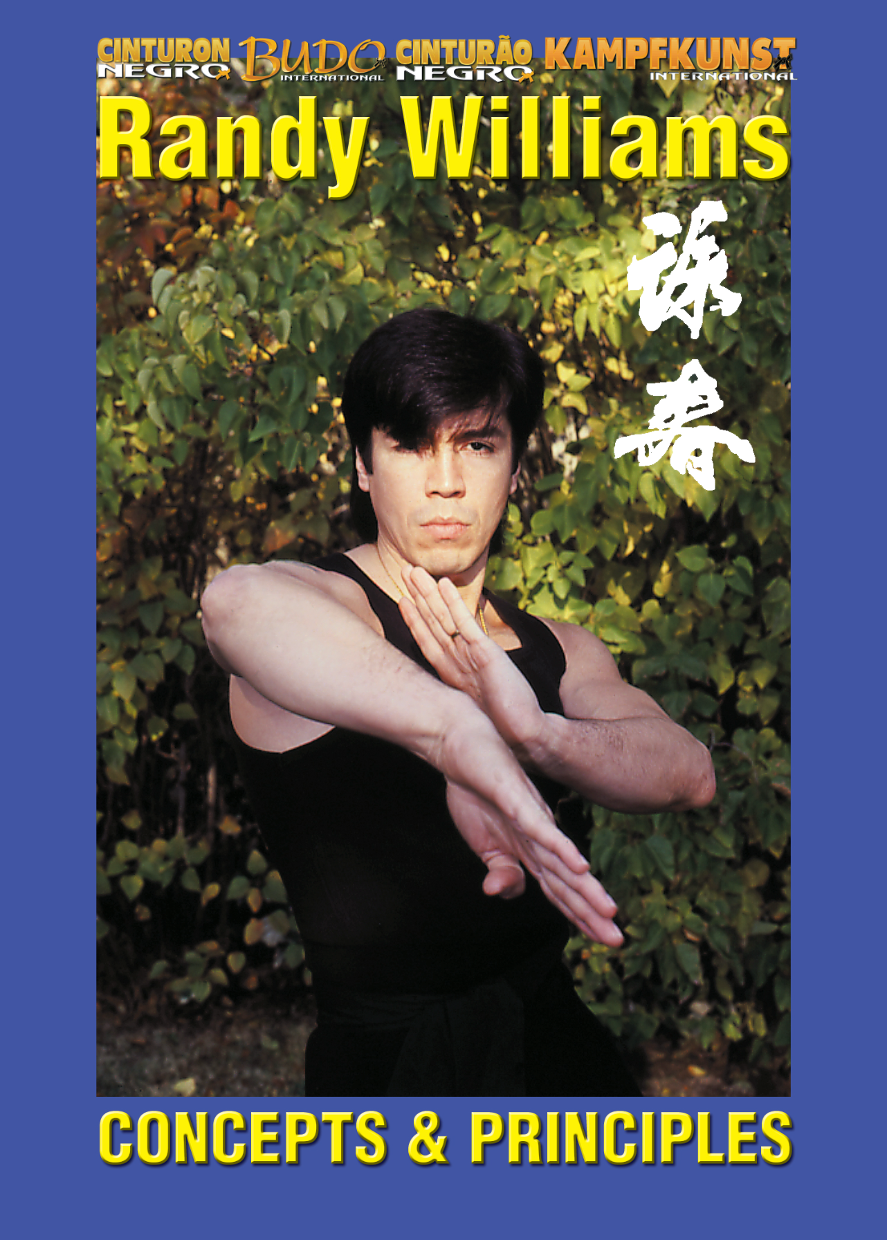 Wing Chun Kung Fu Concepts and Principles DVD by Randy Williams