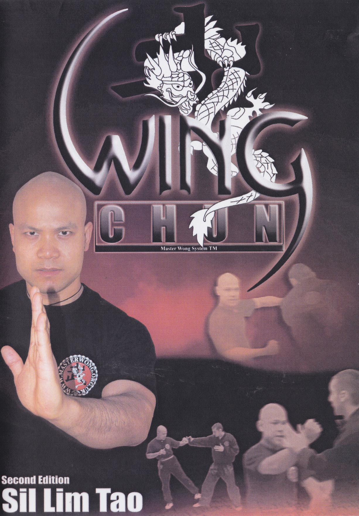 Wing Chun Sil Lim Tao DVD by Michael Wong (Preowned)