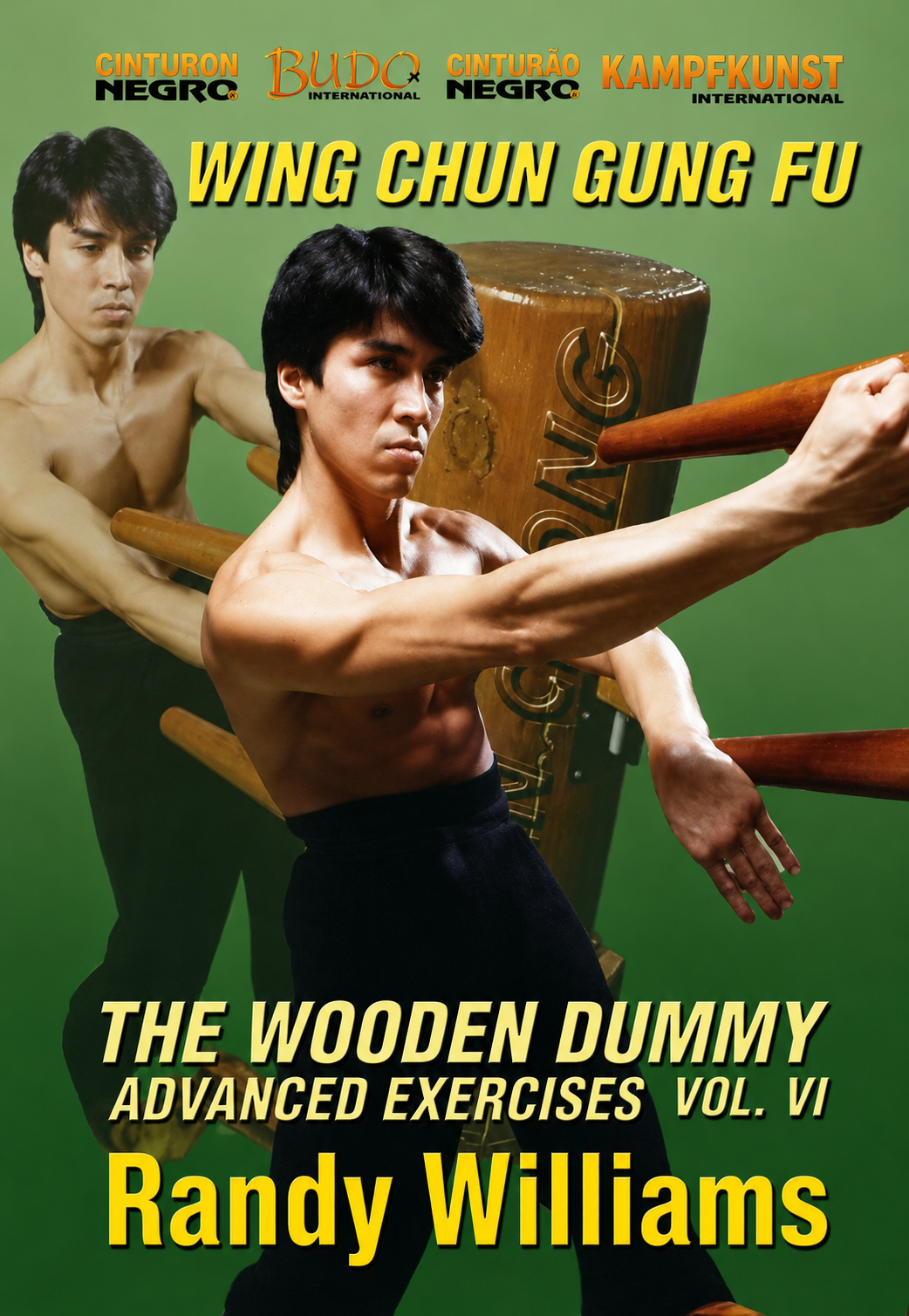 Wing Chun Wooden Dummy Form Part 6 Advanced Drills DVD by Randy Williams