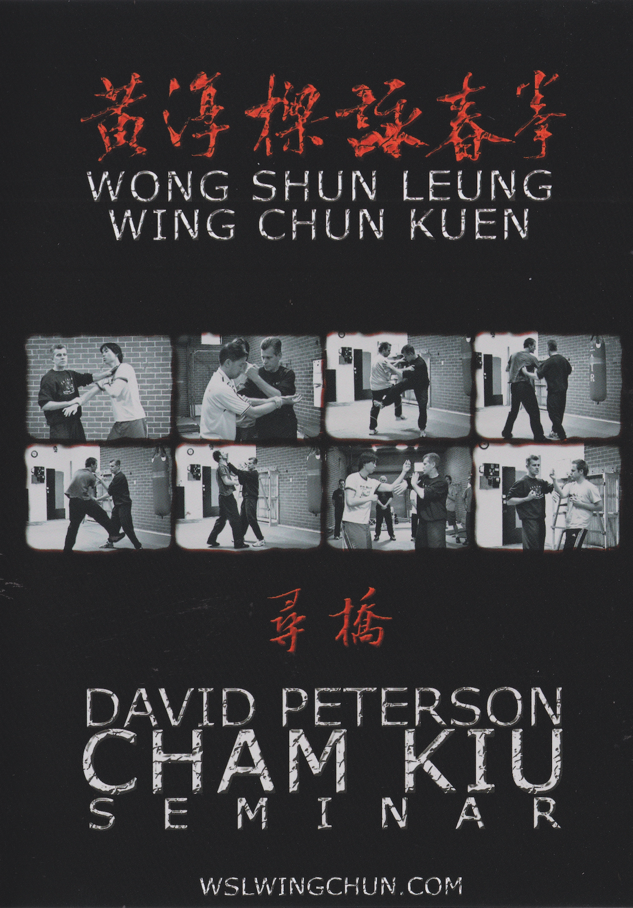 Wong Shun Leung Wing Chun Kuen Cham Kiu Seminar 2 DVD Set by David Peterson