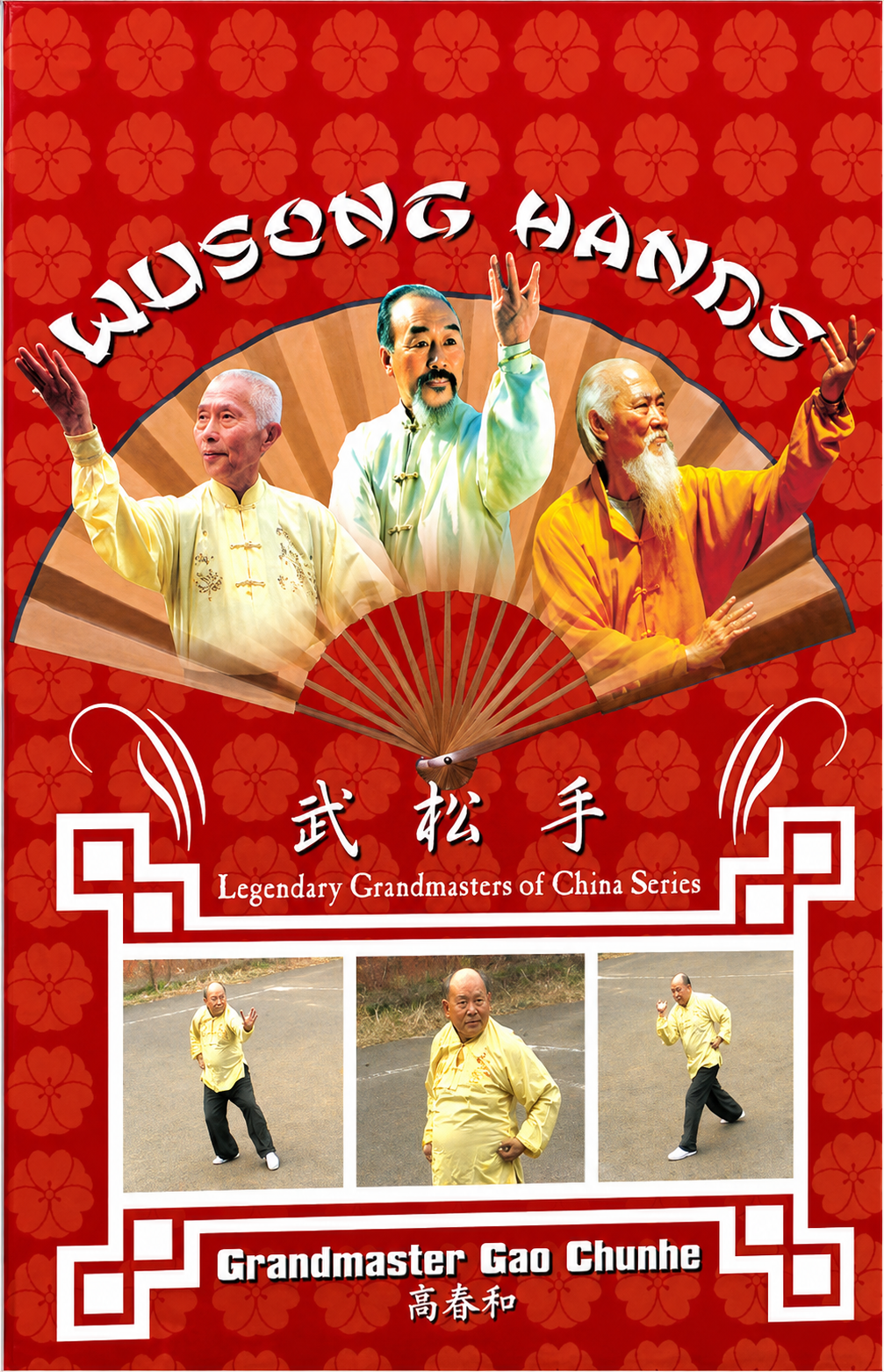 Wusong Hands DVD by Gao Chunhe