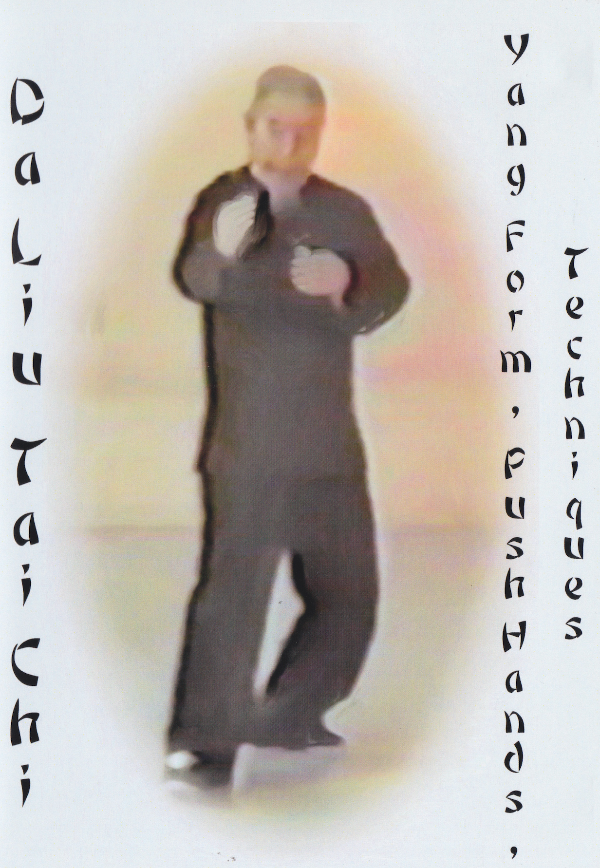 Yang Style Tai Chi Chuan Push Hands DVD by Da Liu (Preowned)