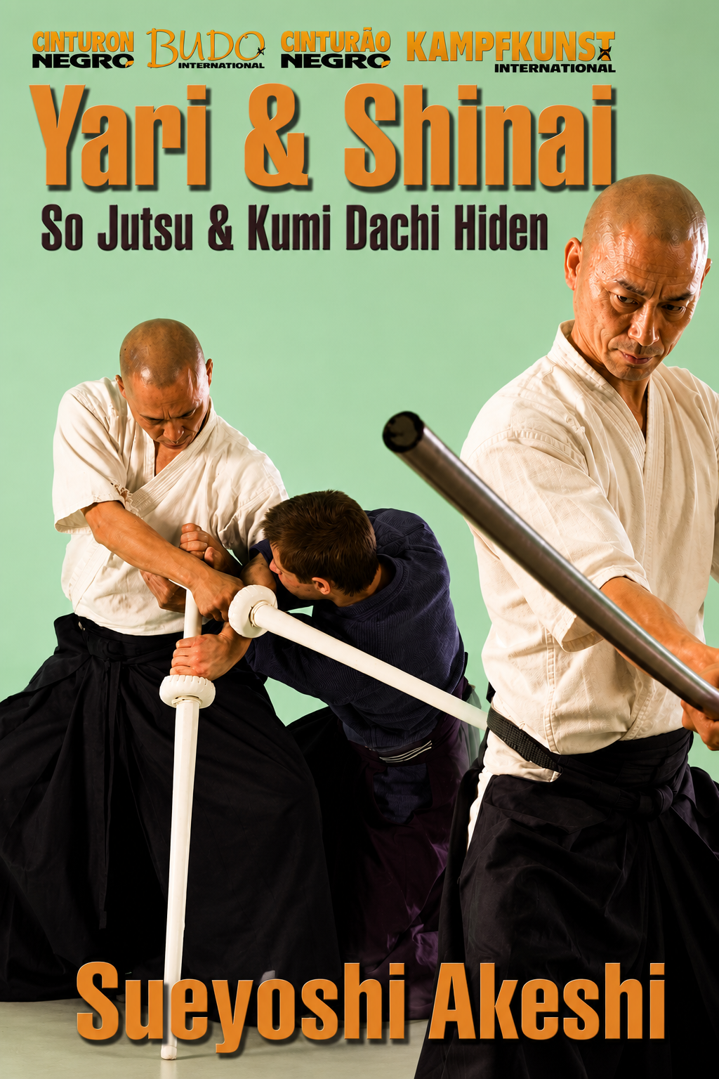 Yari and Shinai DVD by Sueyoshi Akeshi