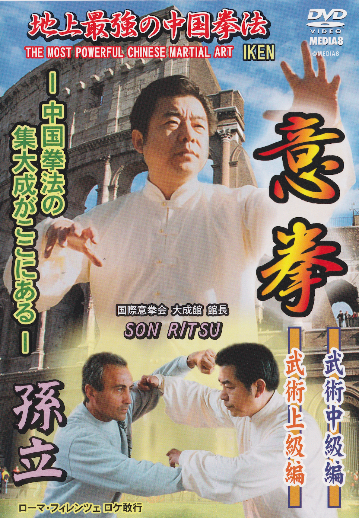 Yiquan: The Most Powerful Chinese Martial Art DVD 2 by Son Ritsu (Preowned)