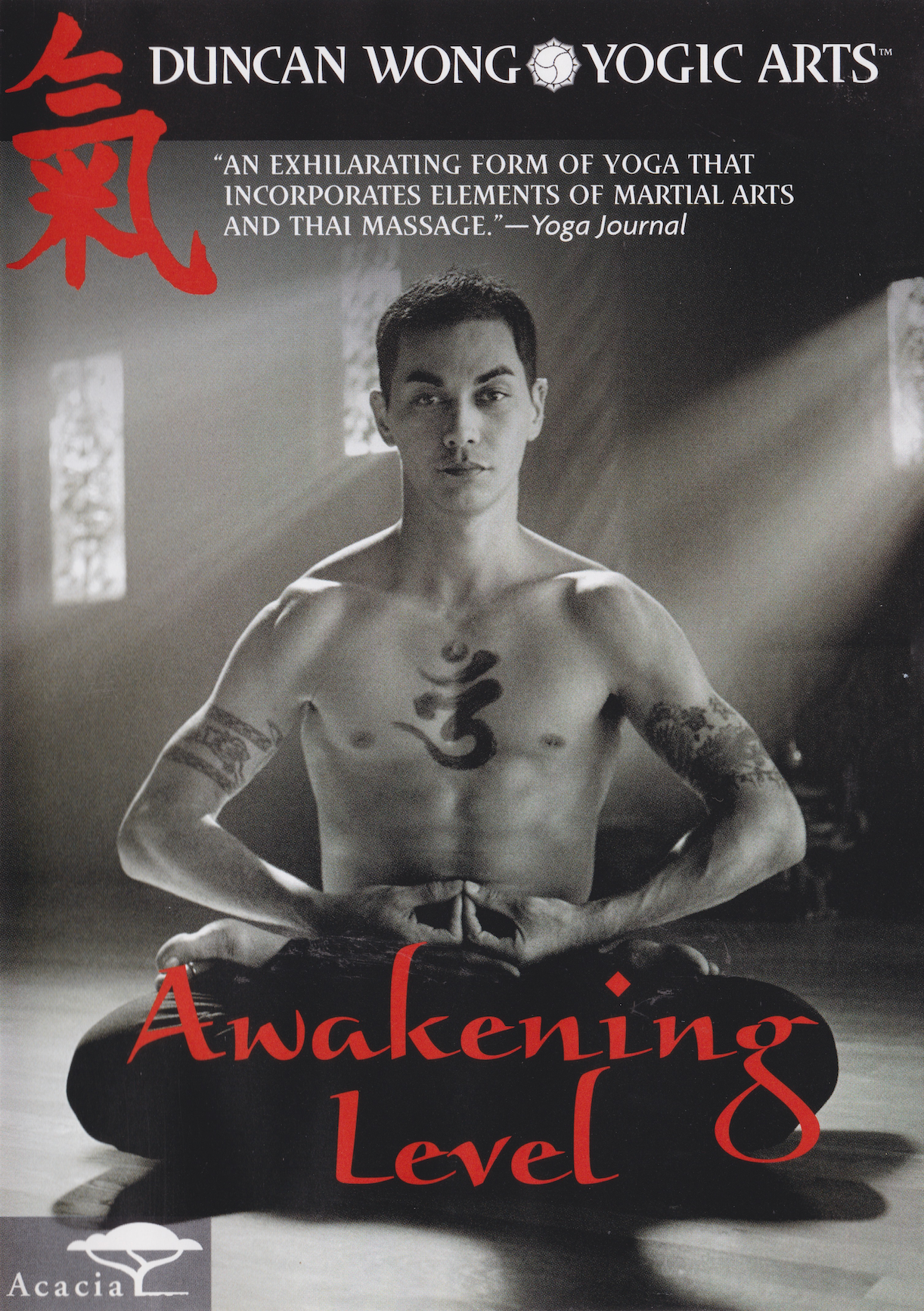 Yogic Arts Awakening Level DVD by Duncan Wong