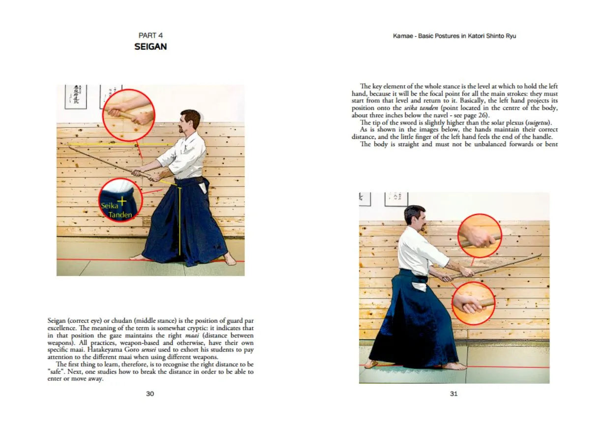 Kamae: Basic Postures in Katori Shinto Ryu Book by Andrea Re