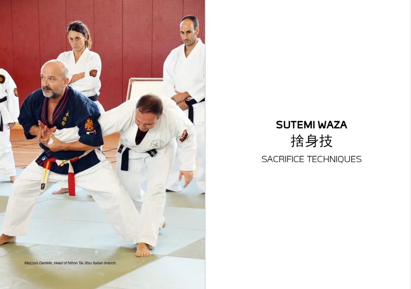 Sutemi: The Art of Sacrifice Techniques in Nihon Tai Jitsu Book by Andrea Mazzoni