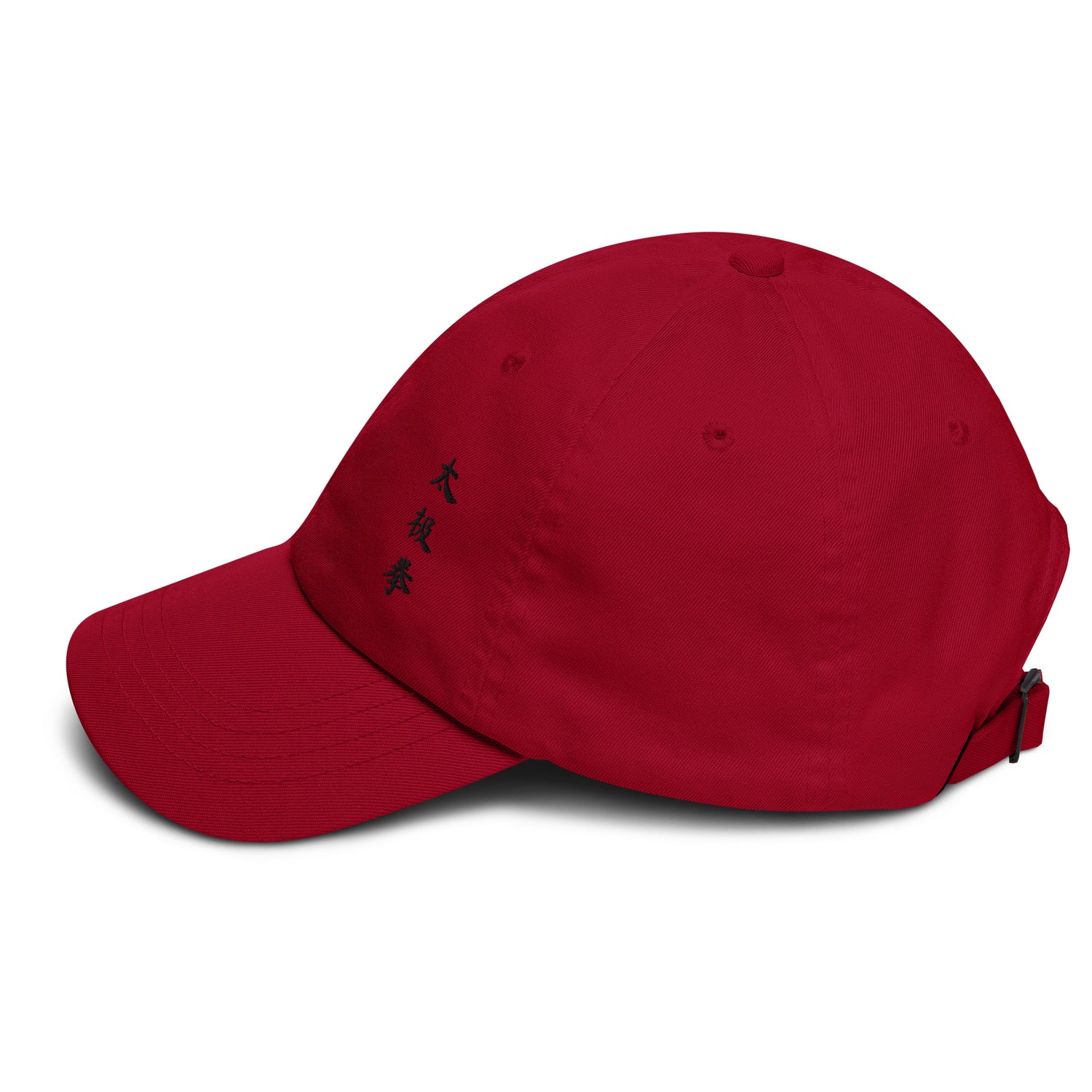 Tai Chi Chuan Cosmic Duality Dad Hat by Kaizen Athletic