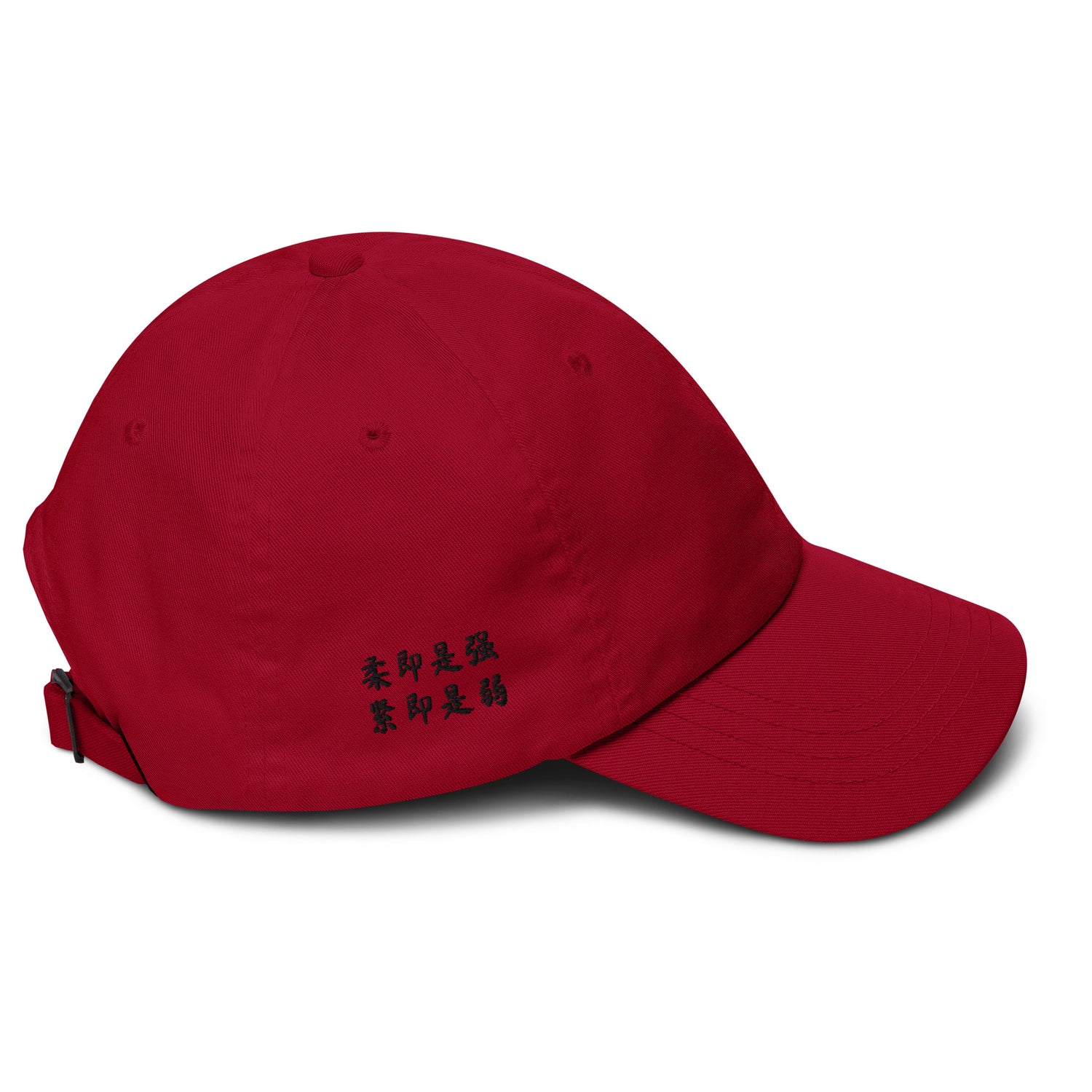 Tai Chi Chuan Cosmic Duality Dad Hat by Kaizen Athletic